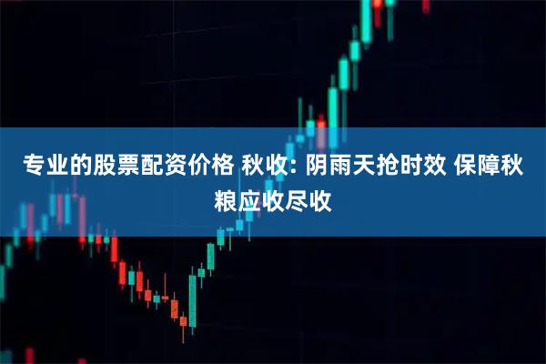 专业的股票配资价格 秋收: 阴雨天抢时效 保障秋粮应收尽收